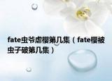 fate蟲爺虐櫻第幾集（fate櫻被蟲子破第幾集）