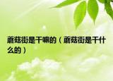 蘑菇街是干嘛的（蘑菇街是干什么的）