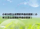 小米10怎么設(shè)置軟件自動(dòng)更新（小米11怎么設(shè)置軟件自動(dòng)更新）