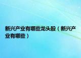 新興產(chǎn)業(yè)有哪些龍頭股（新興產(chǎn)業(yè)有哪些）