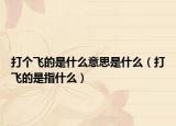 打個飛的是什么意思是什么（打飛的是指什么）