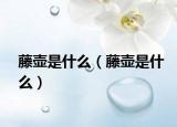 藤壺是什么（藤壺是什么）