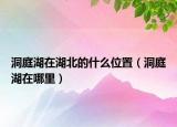 洞庭湖在湖北的什么位置（洞庭湖在哪里）