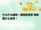 什么什么梢棒（梢棒的意思 梢棒是什么意思）