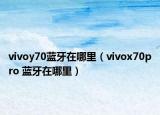 vivoy70藍牙在哪里（vivox70pro 藍牙在哪里）