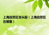 上海自貿(mào)區(qū)龍頭股（上海自貿(mào)區(qū)在哪里）