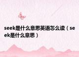 seek是什么意思英語(yǔ)怎么讀（seek是什么意思）