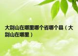 大別山在哪里哪個(gè)省哪個(gè)縣（大別山在哪里）