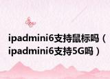 ipadmini6支持鼠標(biāo)嗎（ipadmini6支持5G嗎）
