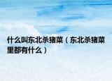 什么叫東北殺豬菜（東北殺豬菜里都有什么）