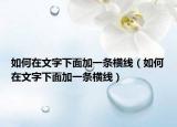 如何在文字下面加一條橫線（如何在文字下面加一條橫線）