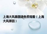 上海大風(fēng)暴國語免費(fèi)觀看（上海大風(fēng)原因）