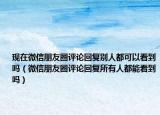 現(xiàn)在微信朋友圈評(píng)論回復(fù)別人都可以看到嗎（微信朋友圈評(píng)論回復(fù)所有人都能看到嗎）