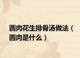 圓肉花生排骨湯做法（圓肉是什么）