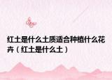 紅土是什么土質(zhì)適合種植什么花卉（紅土是什么土）