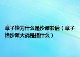 章子怡為什么是沙灘影后（章子怡沙灘大戰(zhàn)是指什么）