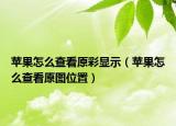 蘋(píng)果怎么查看原彩顯示（蘋(píng)果怎么查看原圖位置）