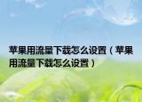 蘋(píng)果用流量下載怎么設(shè)置（蘋(píng)果用流量下載怎么設(shè)置）