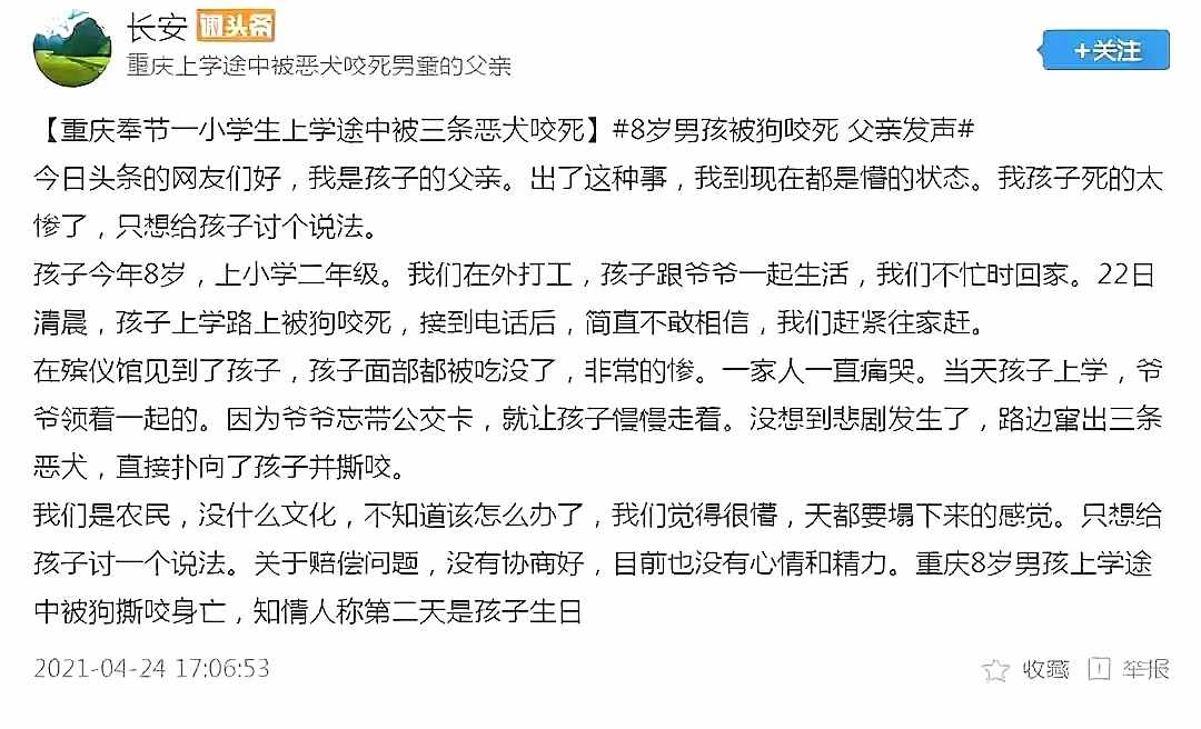 重慶8歲男童遭3只惡犬咬傷身亡！狗主人養(yǎng)犬喂生肉不栓繩，目前惡犬均被捕殺