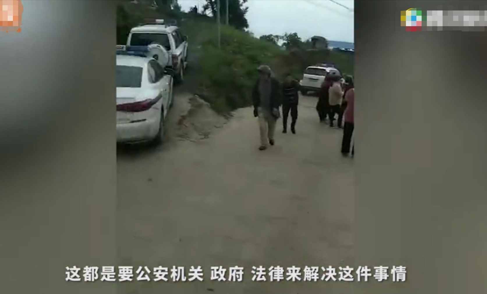 重慶8歲男童遭3只惡犬咬傷身亡！狗主人養(yǎng)犬喂生肉不栓繩，目前惡犬均被捕殺