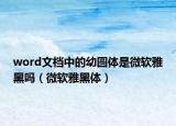 word文檔中的幼圓體是微軟雅黑嗎（微軟雅黑體）