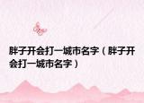 胖子開會打一城市名字（胖子開會打一城市名字）