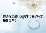 豹子標志是什么汽車（豹子標志是什么車）