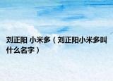 劉正陽 小米多（劉正陽小米多叫什么名字）