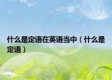 什么是定語在英語當(dāng)中（什么是定語）