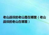 老山戰(zhàn)役的老山是在哪里（老山戰(zhàn)役的老山在哪里）