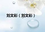 劉文彩（劉文彩）