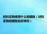 材料采購使用什么明細賬（材料采購明細賬如何填寫）