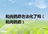 和尚鸚鵡合法化了嗎（和尚鸚鵡）