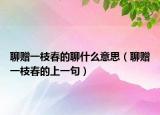 聊贈一枝春的聊什么意思（聊贈一枝春的上一句）