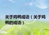 關(guān)于雞鴨成語（關(guān)于雞鴨的成語）