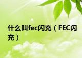 什么叫fec閃充（FEC閃充）