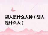 胡人是什么人種（胡人是什么人）