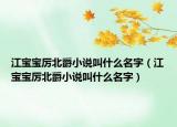 江寶寶厲北爵小說叫什么名字（江寶寶厲北爵小說叫什么名字）