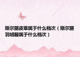 斯?fàn)桘惼げ輰儆谑裁礄n次（斯?fàn)桘愑鸾q服屬于什么檔次）