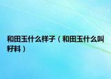 和田玉什么樣子（和田玉什么叫籽料）