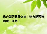 熱火朝天是什么肖（熱火朝天特指哪一生肖）