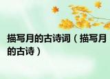 描寫月的古詩詞（描寫月的古詩）