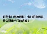 旺角卡門百度百科（卡門的意思是什么旺角卡門的含義）