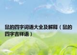 鼠的四字詞語大全及解釋（鼠的四字吉祥語）