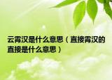 云霄漢是什么意思（直接霄漢的直接是什么意思）