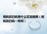 明礬和白礬有什么區(qū)別視頻（明礬和白礬一樣嗎）