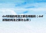 dnf濃縮的純潔之骸在哪搬磚（dnf濃縮的純潔之骸怎么得）