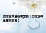 微信立減金在哪里看（微信立減金在哪里看）
