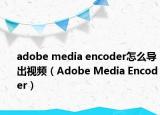 adobe media encoder怎么導(dǎo)出視頻（Adobe Media Encoder）