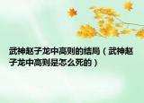武神趙子龍中高則的結(jié)局（武神趙子龍中高則是怎么死的）